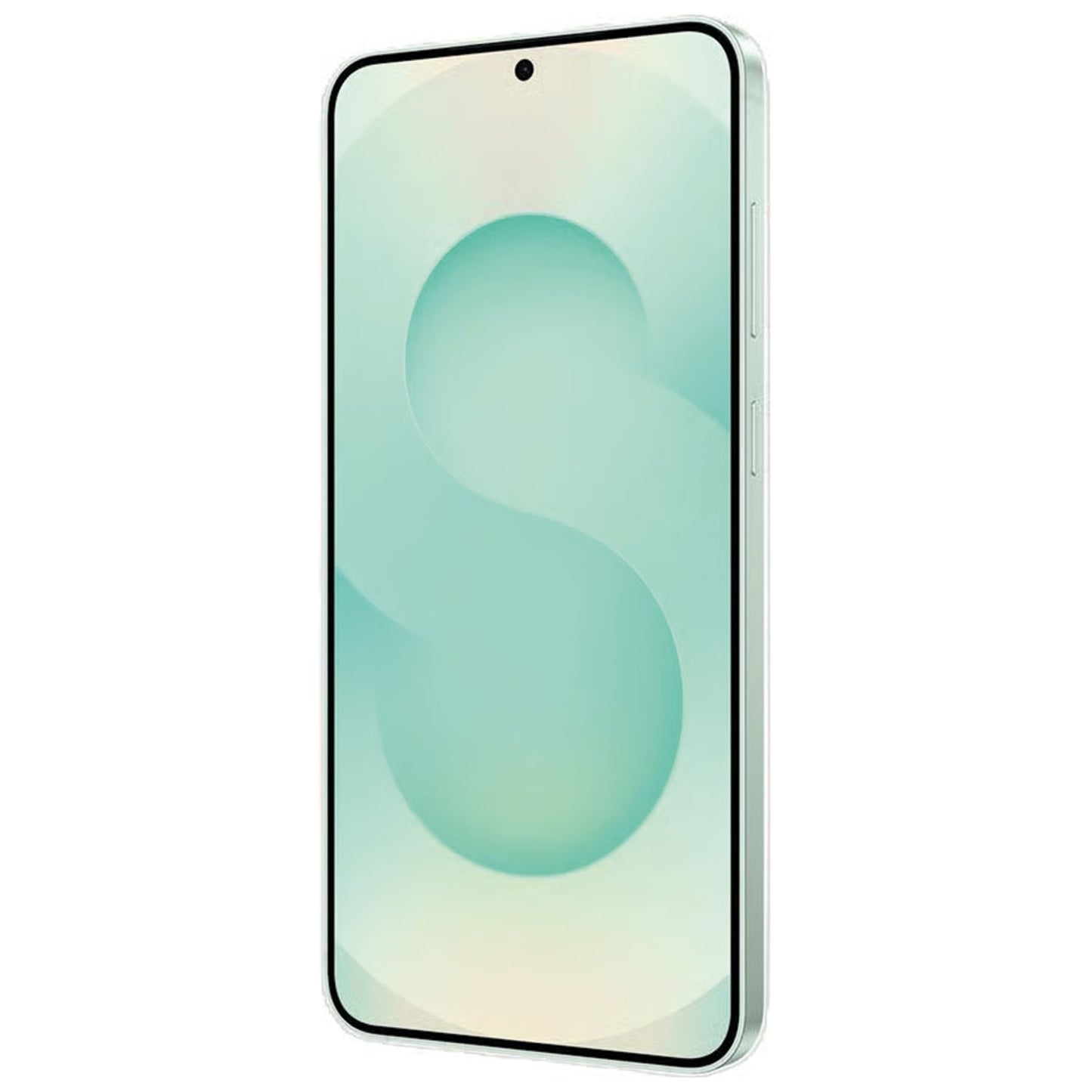 Samsung Galaxy S25 Ricondizionato