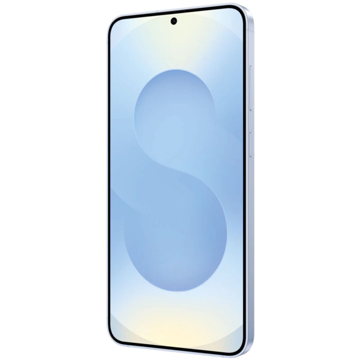 Samsung Galaxy S25 Plus Ricondizionato