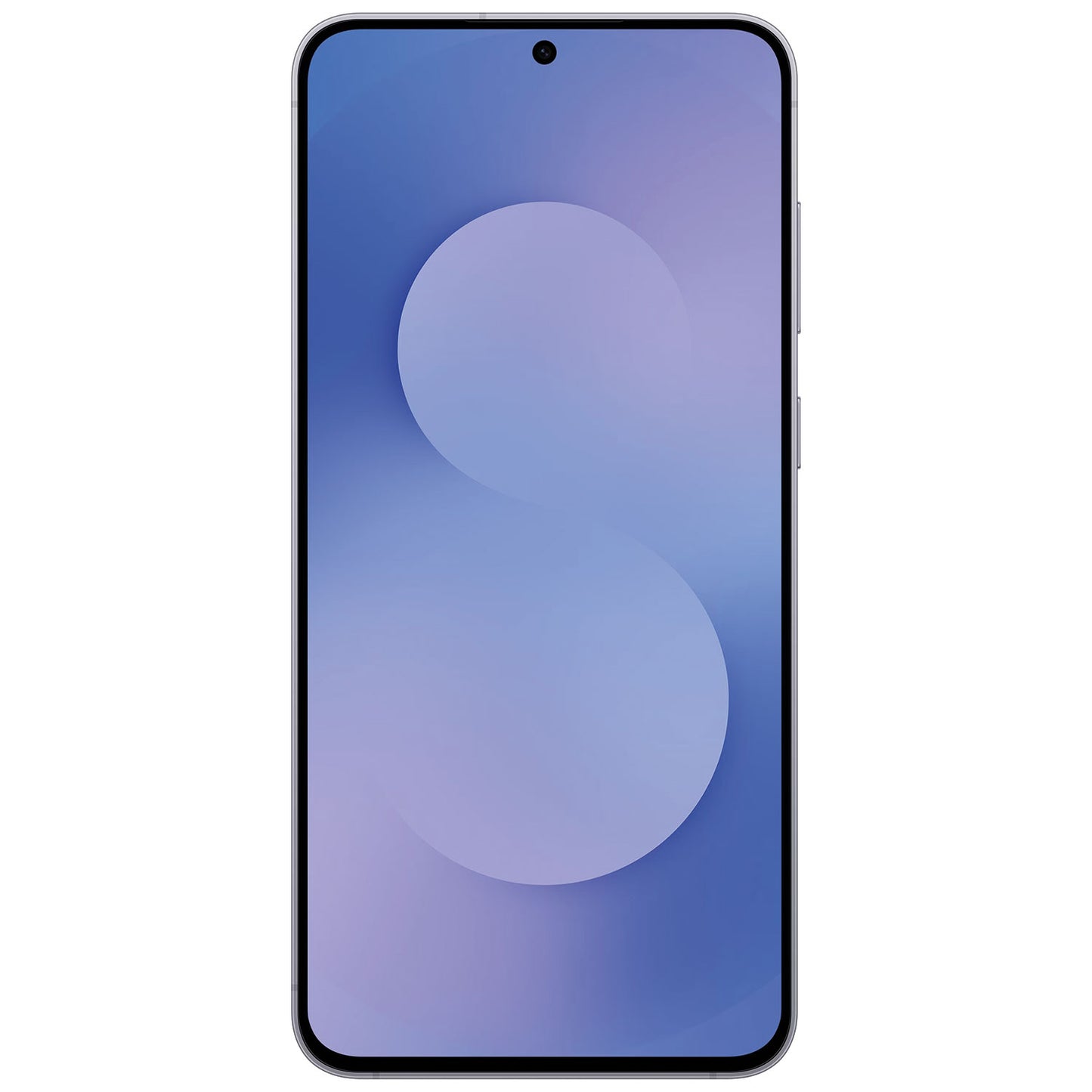 Samsung Galaxy S25 Plus Ricondizionato