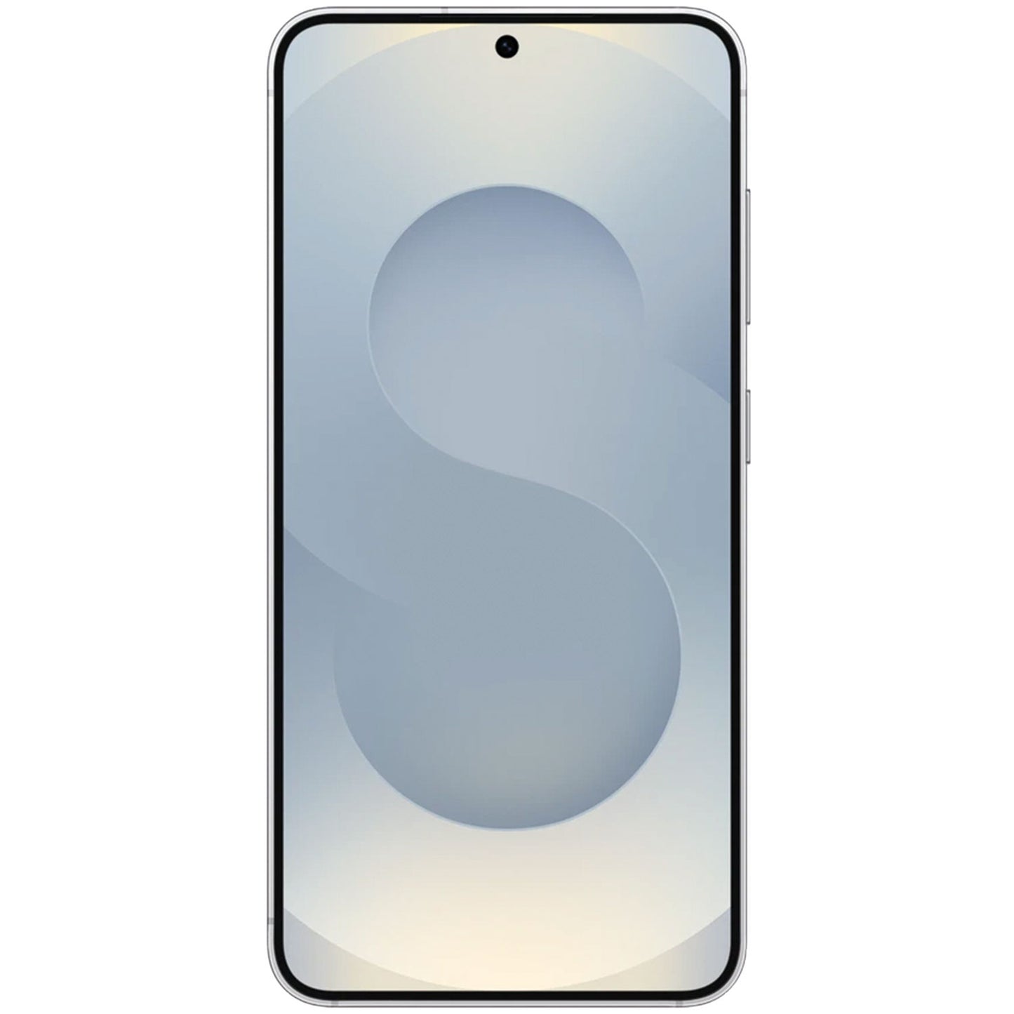 Samsung Galaxy S25 Ricondizionato