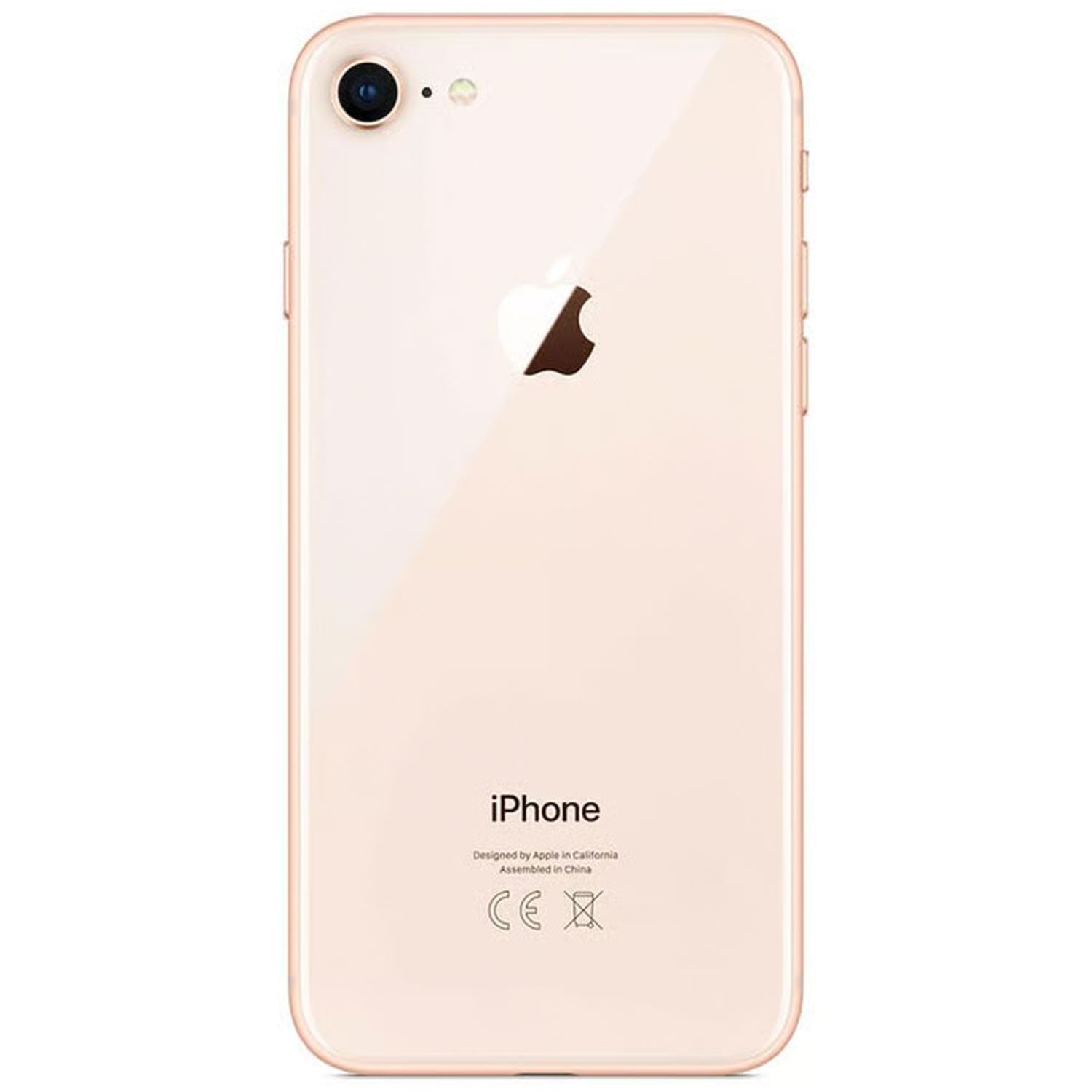 Apple iPhone 8  Ricondizionato